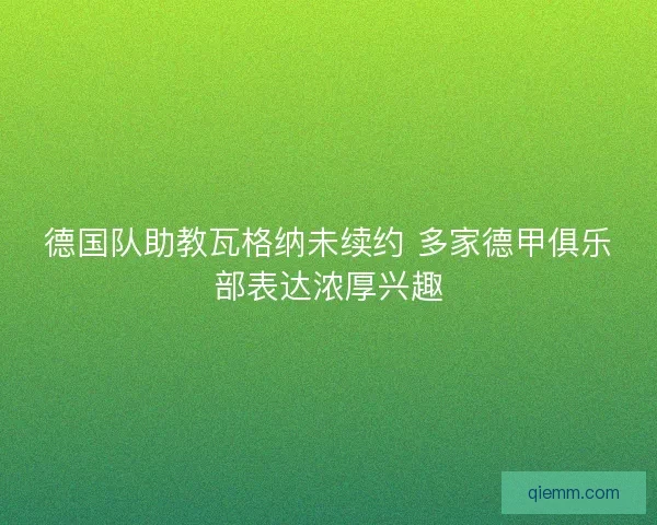 德国队助教瓦格纳未续约 多家德甲俱乐部表达浓厚兴趣