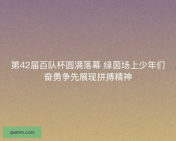 第42届百队杯圆满落幕 绿茵场上少年们奋勇争先展现拼搏精神